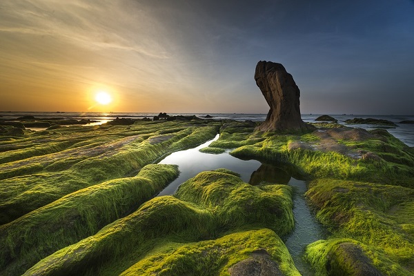 在线水质叶绿素检测仪测量原理.jpg 在线水质叶绿素检测仪测量原理.jpg